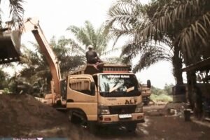 IMG-20260123-WA0049-300x200 Tambang Ilegal Galian C Merajalela di Sungai Kandilo, Paser: Sudah Ditangkap, Tapi Bebas Berkeliaran — Hukum Tumpul ke Atas?