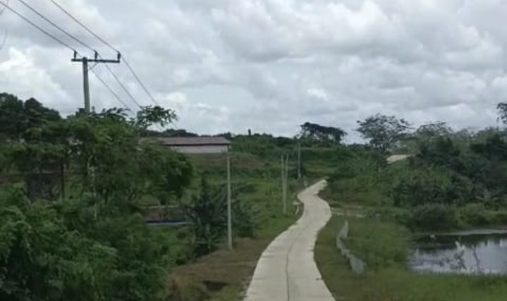 Screenshot_20260401-184740_WhatsApp